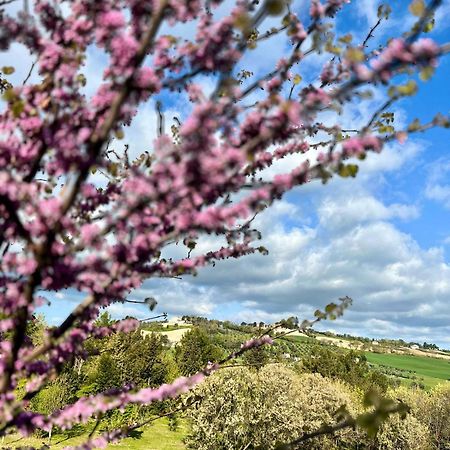 Agriturismo La Contea Senigallia Villa San Gaudenzio Eksteriør bilde