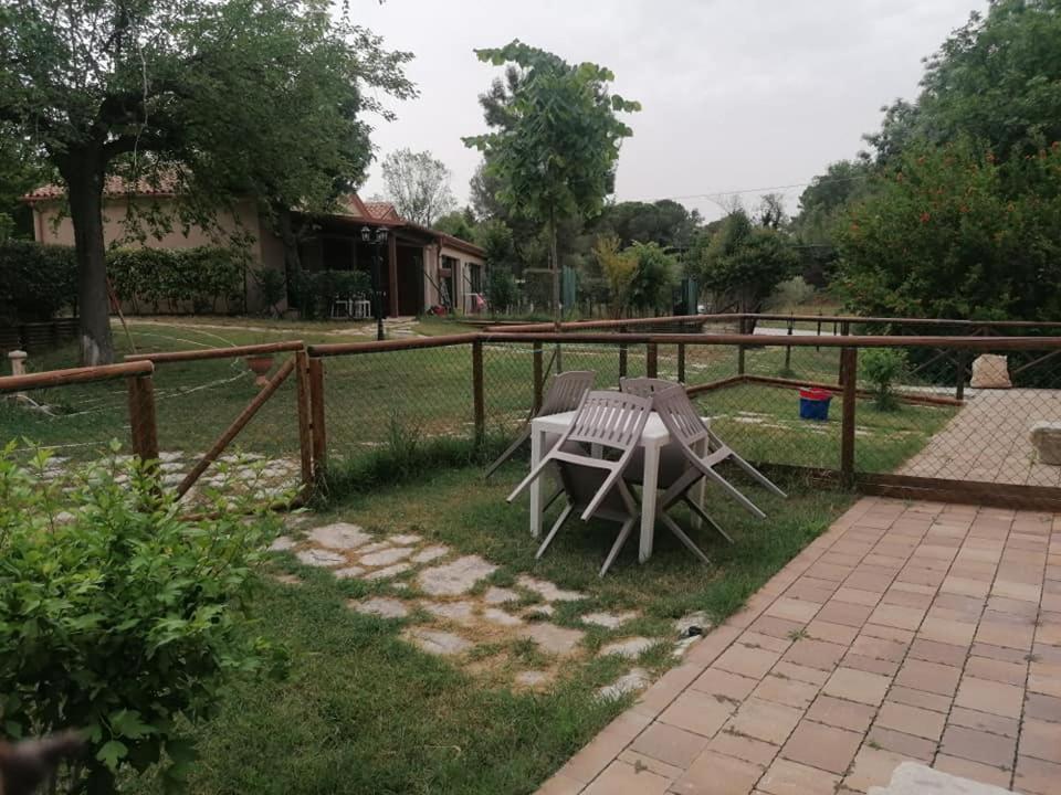 Agriturismo La Contea Senigallia Villa San Gaudenzio Eksteriør bilde