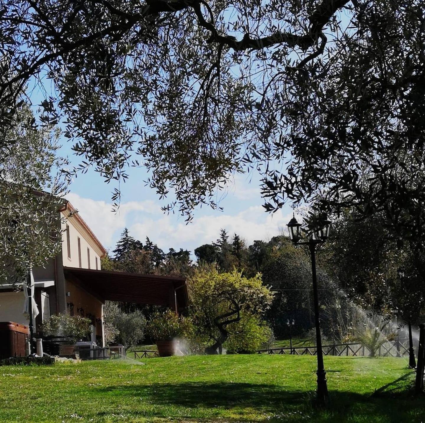 Agriturismo La Contea Senigallia Villa San Gaudenzio Eksteriør bilde